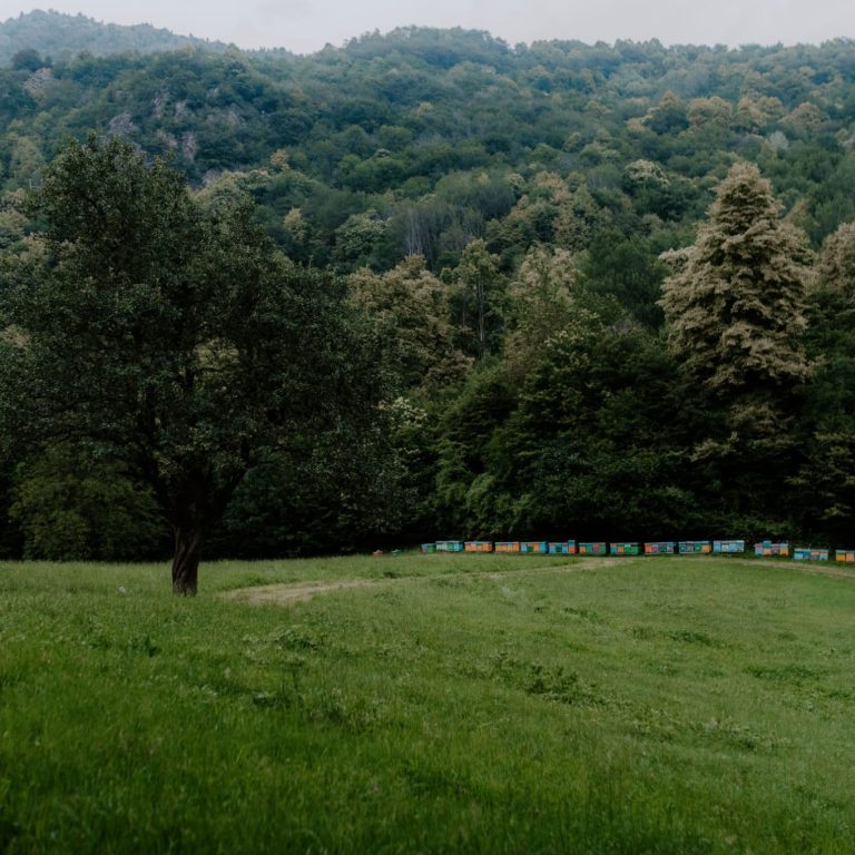 IMG-20240112-WA0009