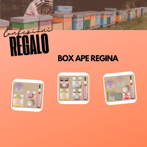 grafica_BOX APE REGINA