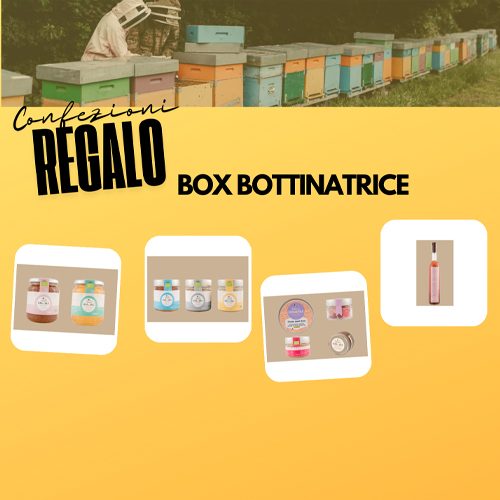 grafica_BOX BOTTINATRICE