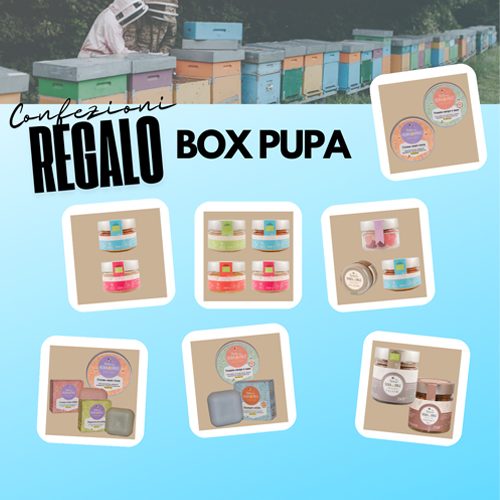 grafica_BOX PUPA